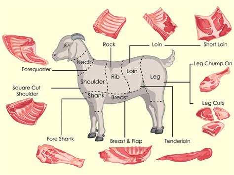 what are the most valuable wholesale cuts of goat meat